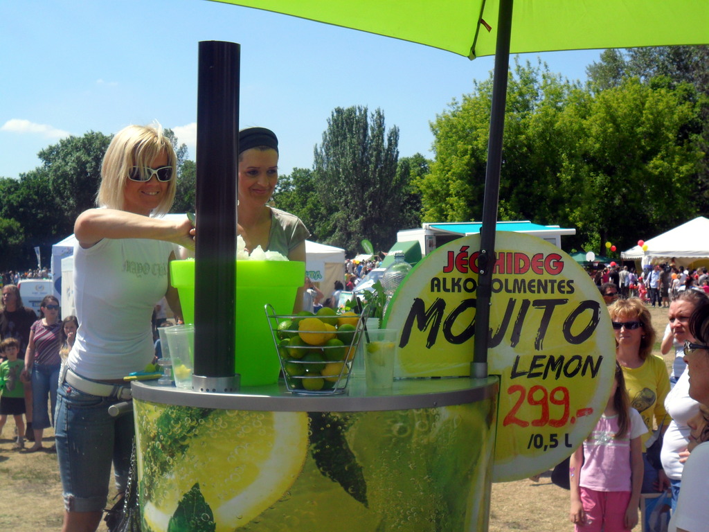 Mojito Lemon stand a Fitbalence-on