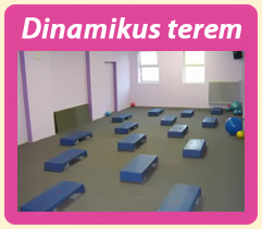 dinamikus terem